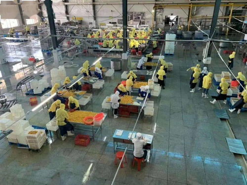 湖北食品厂季节性员工招聘启事