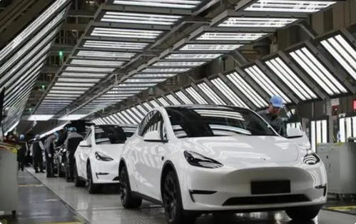 西方对华关税壁垒引内部分歧，宝马CEO率先呼吁合作共赢